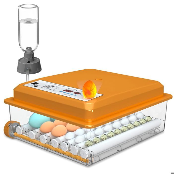 Couveuse Oeuf Automatique Incubateur Oeuf Automatique 64 Oeufs avec Retournement Automatique des œufs et Ajout Automatique deau