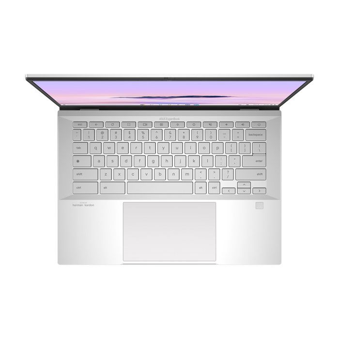 ASUS ExpertBook CX54 Chromebo