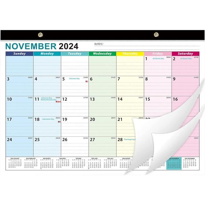 Calendrier Mural Académique 20242025 Multicolore 18 mois Papier épais Cdiscount Beaux