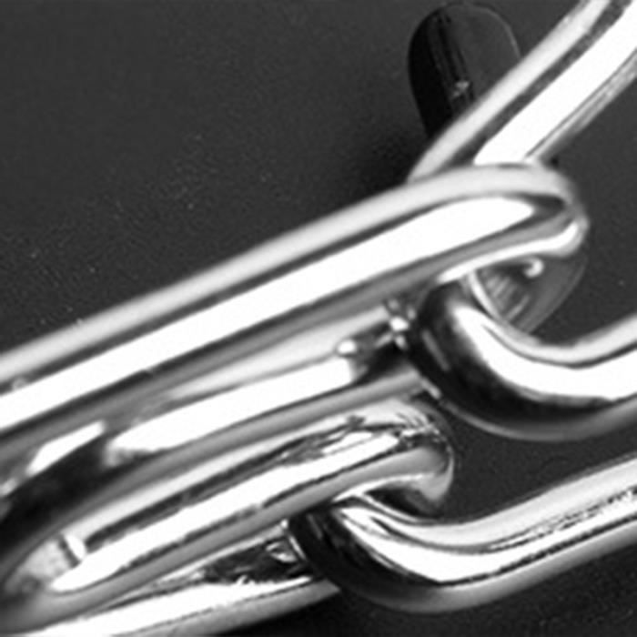 Meilleurs prix pour FAN-collier étrangleur pour chien Collier à griffes pour chien collier étrangleur réglable en acier inoxydable animalerie collier