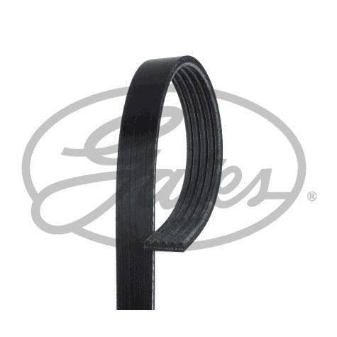 Crantées DAYCO 5pk853
