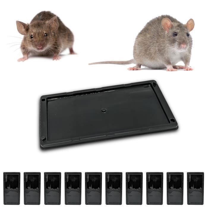 Piège à colle forte pour souris - Chine Piège à colle pour souris, piège à colle pour Rat papier Bpard Piège à colle forte pour souris - Chine Piège à colle pour souris, piège à colle pour Rat papier Bpard