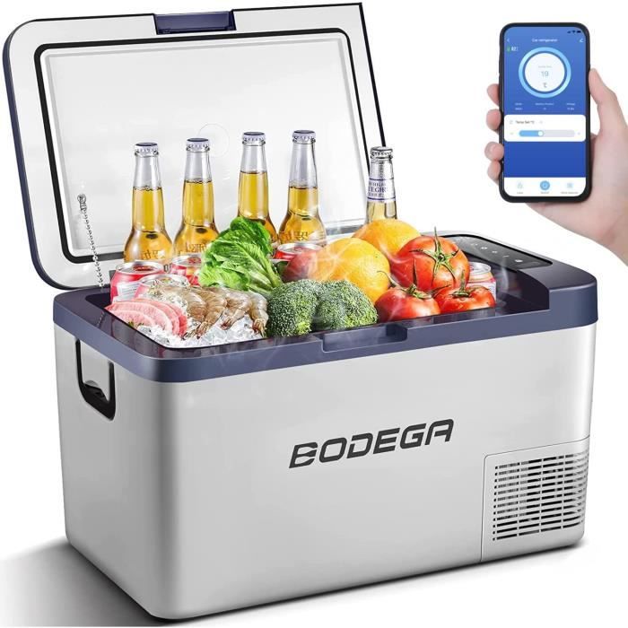 Glacière portable isolée – Glacière rigide avec poignée | Petite glacière pour nourriture et boissons | Récipient isotherme d'extérieur avec rétention de glace | Pour camping, épicerie, pique-nique