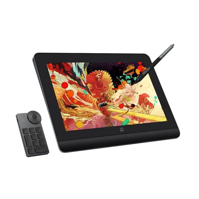 XPPen Artist Pro 14 Gen 2 Tablette Graphique avec Ecran Entier Laminé en 14 Pouces Premier Mondial Stylet Passif 16K Niveaux