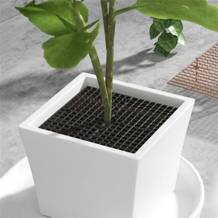 Grille de protection pour pot de plante de jardin, couvercle de pot de fleur,  accessoires de protection, protection du sol, 19 cm, 30 cm, 52cm -  AliExpress