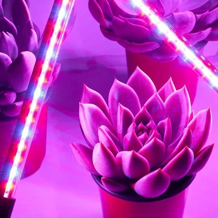 Lampe de Croissance LED Horticole - Domüy - 4 Tubes - Spectre Lumière  Couleur Complet - Minuteur Automatique - Cdiscount Jardin