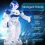 Tableau Enfant Rc Telecommande Smart Robot Action Walk Dancing Gesture Sensor Xmas Gift Nouveau Bleu Achat Vente Tableau Enfant Cdiscount Tableau Enfant Rc Telecommande Smart Robot Action Walk Dancing Gesture Sensor Xmas Gift Nouveau Bleu Achat Vente Tableau Enfant Cdiscount