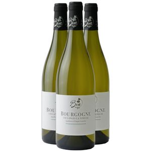 VIN BLANC Domaine Bon et Fils Bourgogne Coulanges-la-Vineuse