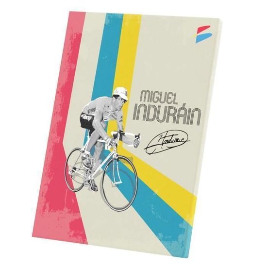 Velo indurain online