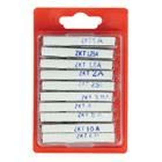 Lot de 10 fusibles en verre 3CM 30MM 20A 220V - Bricolage