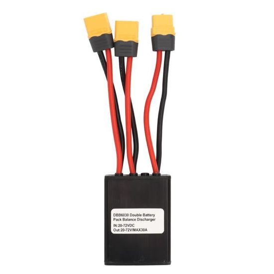 Hamwesh Convertisseur De Décharge De Batterie Double Pour