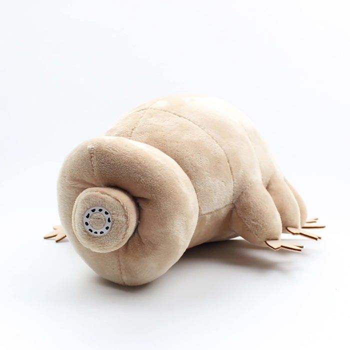 Jouet en peluche Tardigrade de 9 8 pouces jouet en peluche doux poupée en peluche Tardigrade coussin en peluche doux jouet