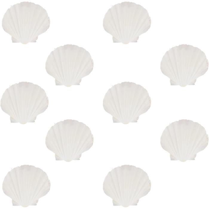 Lot De 10 Assiettes Inoxydables Fruits De Mer 10cm - Bols Sauce Camping - Acier Inoxydable Durable