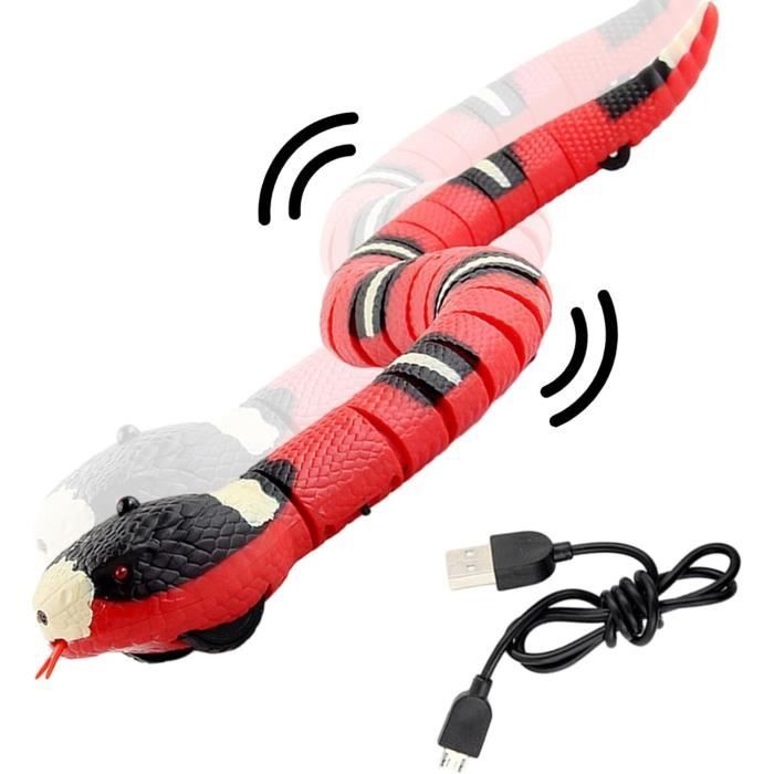 Jouet électronique - Serpent rechargeable - Détection intelligente - Pour chat - Utilisation intérieure