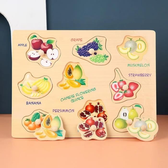 Puzzle Montessori en Bois pour Enfant de 2 à 3 Ans,Jeu de Société pour ...