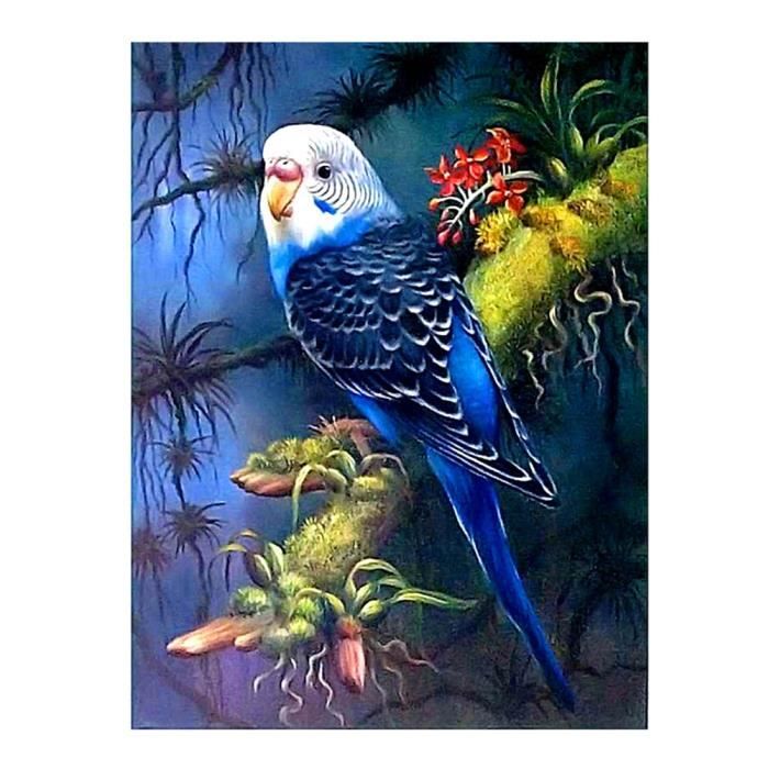 Peinture Au Diamant Perroquet Achat Vente Tableau Toile Cdiscount