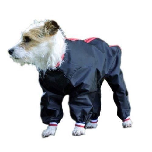 Cosipet dog trouser suit online