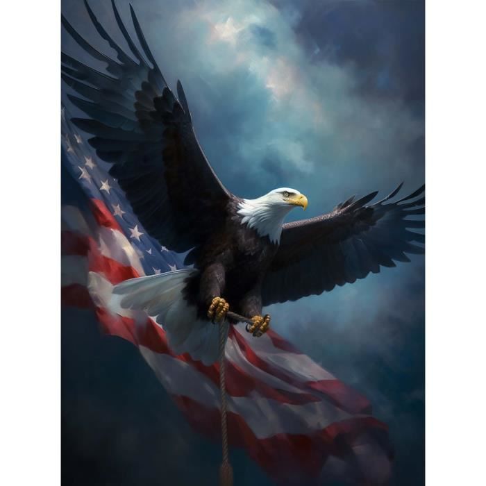 Bimkole 5D Diamond Painting DIY Kits Aigle Animaux, Broderie Diamant Kits De Broderie Au Point De Croix Strass Rond Résine Peinture Décor à La Maison 30x40 cm#az133