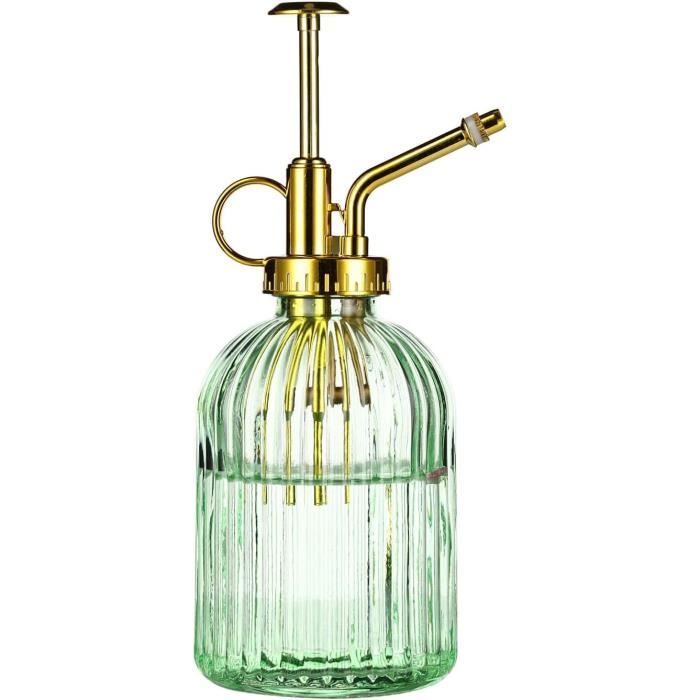 Hniuyun Vaporisateur De Plantes En Verre, 6,4 Arrosoir