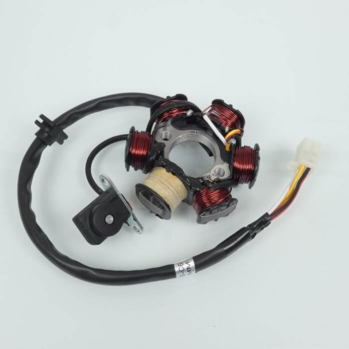 Alternateur TNT pour Moto Skyteam 50 DAX 12VB-C6 400MM Neuf 