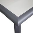 Table de Jardin - Chillvert - Portofino - Aluminium et Verre - 180x100x75 cm - Gris-2