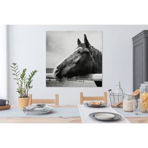 Art mural Canvas Chevaux (5 pièces