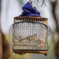 2pcs oiseaux couvre-oreilles polyvalents durables voliere - cage oiseau habitat - couchage-3