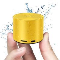 Mini Enceinte Portable Bluetooth 5.0 Subwoofer 600mAh Autonomie 4H sans fil petit haut-parleur Type-C Jaune