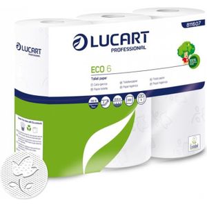 Acheter Promotion Ecodoo Papier toilette recyclé, Lot de 2x4 rouleaux