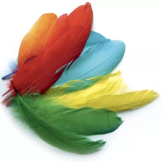 50 Plumes Naturelles MegaCrea - Assortiment Camaïeu 10cm - DIY Déco Et Création