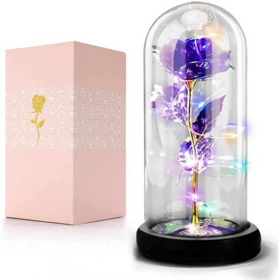 Rose Éternelle La Belle Et La Bête Sous Cloche Verre LED Base Bois – Décoration Romantique Lumineuse