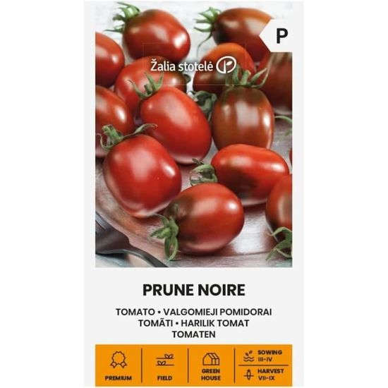 Zalia Kornblumen-Samen „Rose Shade“ – Rosa Blüten, 3–4 Cm, Einjährig, Bienenfreundlich – 1 Packung