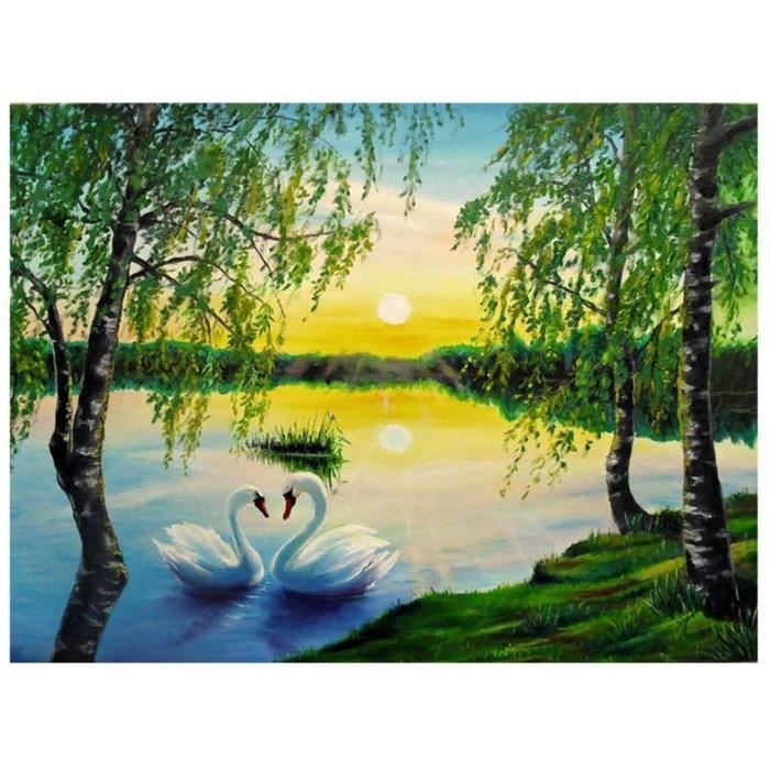 Peinture en Diamant 5D DIY,Diamant Peinture Kits Broderie Diamant Art Broderie Diamant Kit,Paysage: cygne 40X30cm@Z6610