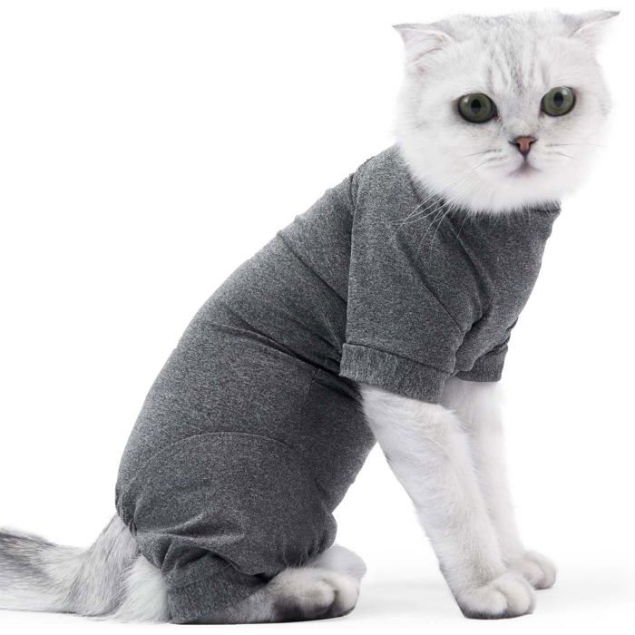 Meilleurs prix pour Body post-opératoire pour chat Vêtements anti-fuites pour chat (S)