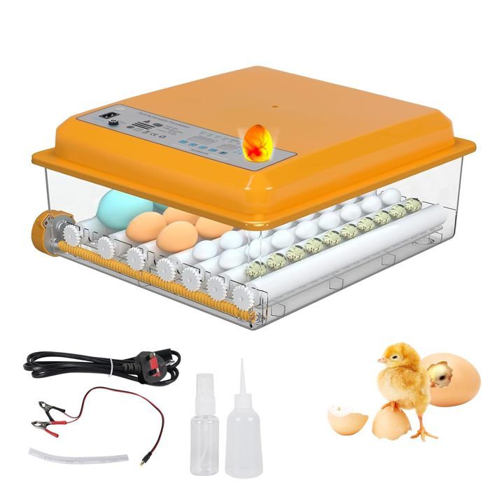 Incubateur dœufs automatique 36 Oeufs Retournement Auto et Ajout dEau Double Alimentation Secteur/Batterie 4 Modes dIncubation
