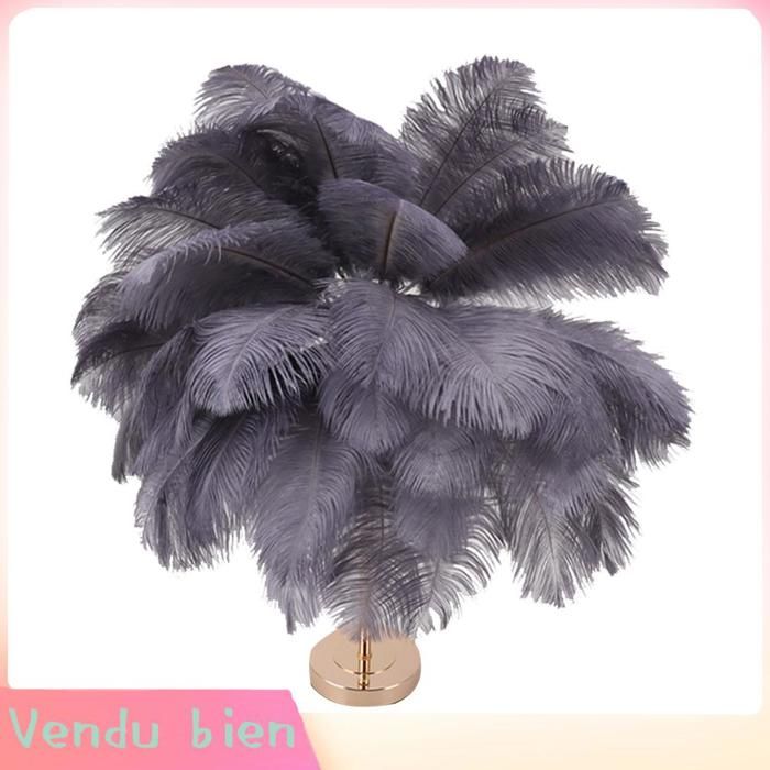HURRISE Lampe de table en plumes d’autruche (Lampe De Table En Plumes Dautruche Rechargeable Lampe De linge poser Grise