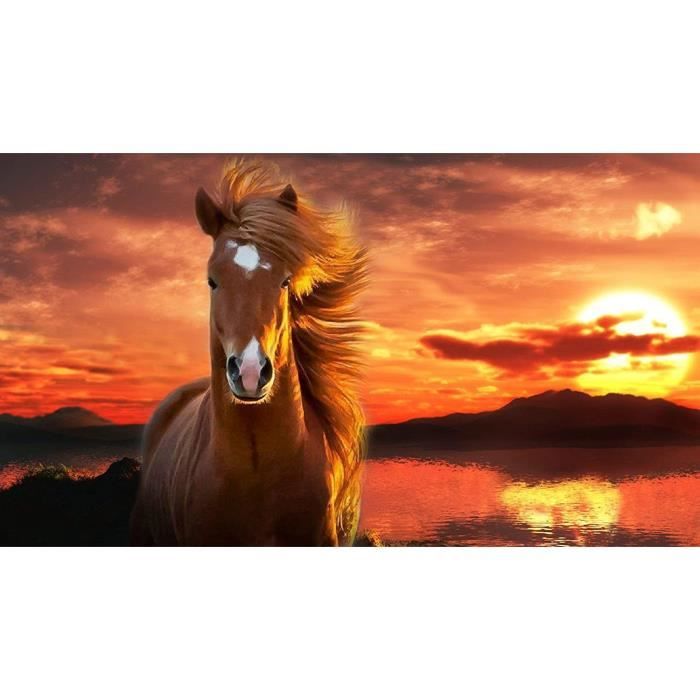 Casse-Tête Educa 500 Cheval au lever du soleil main image 1
