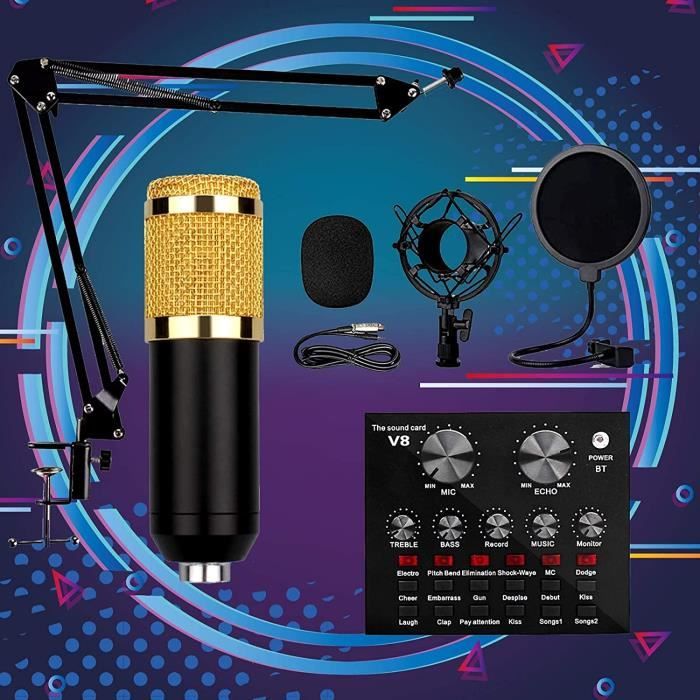 Activité-ZUO Enregistrement de diffusion en studio avec microphone à Activité-ZUO Enregistrement de diffusion en studio avec microphone à