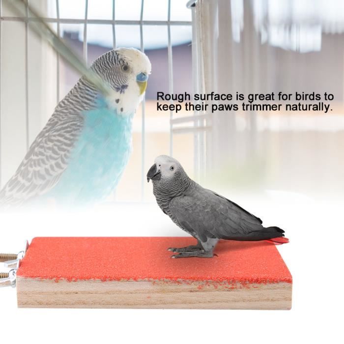 QUT Jouet de perroquet,Jouets de cage à oiseaux pour perroquets Fiable