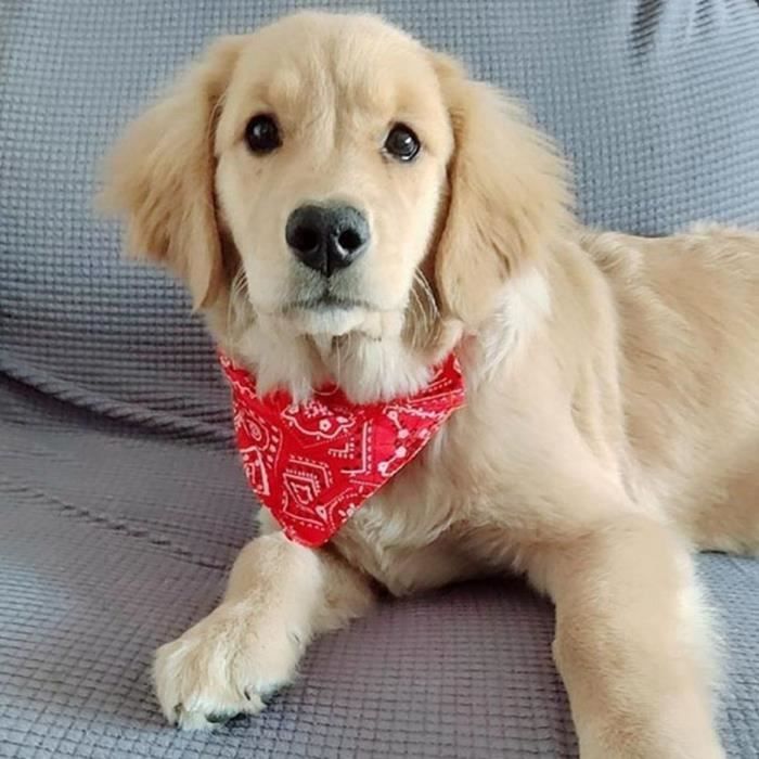 Comparer les prix de Shipenophy Collier Bandana pour Animaux de Compagnie, Réglable Respirant et Léger, Col pour Chien avec Foulard, Rouge