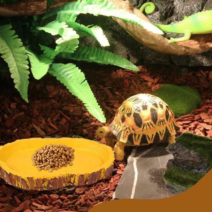 Lot De 3 Abreuvoirs Pour Reptiles - Gris, Empreinte Tortue | Pour Tortues Terrestres, Lézards, Serpents | Facile à Nettoyer, Bords Anti-éclaboussures