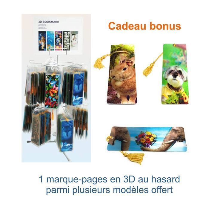 Classeur spécial pour Ranger 36 Carte Pokemon Grand Format Jumbo + 1 KDO