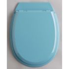 Abattant WC - ALLIBERT BATH & DESIGN - ATLAS - Bois compressé - Déclipsable - Turquoise