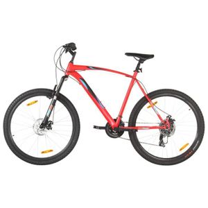 VÉLO DE COURSE - ROUTE DIOCHE Vélo de montagne 21 vitesses Roues 29 pouce