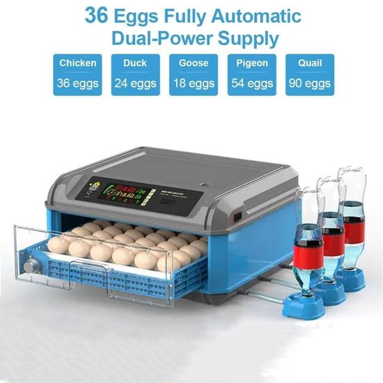 Chalixion Incubateur Œufs Automatique 16 Œufs – Retournement + Ajout Eau Auto – Contrôle Température & Alarme – 5 Rouleaux Réglables