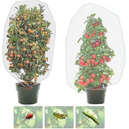 Filet De Protection Anti-Insectes Pour Arbres Fruitiers – Lot De 4 Filets 1x1,5 M Avec Cordon De Serrage