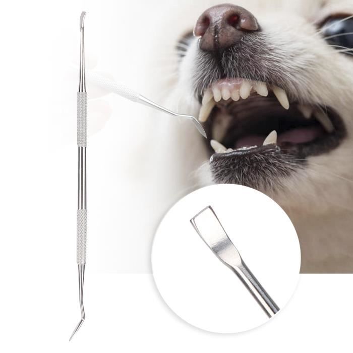 Grattoir pour enlever tartre de plaque de nettoyage de dents pour chien en acier inoxydable-ALI