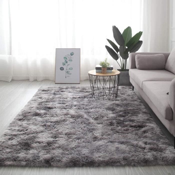 COUSSIN DE SOL ic Tapis antideacuterapant moelleux pour salon grand tapis super doux pour la maison la chambre et le confort gri886