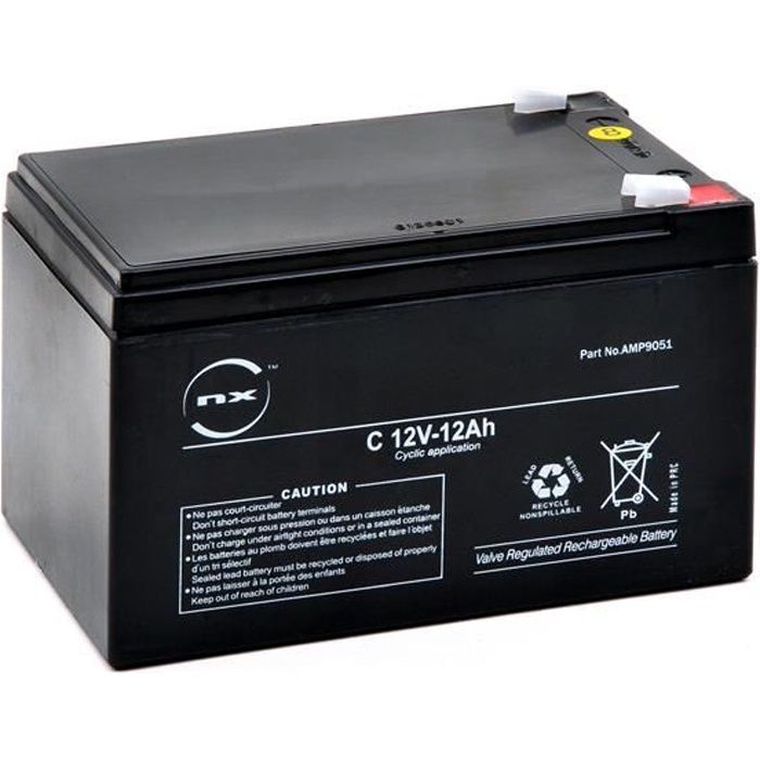 NX - Batterie plomb AGM C 12V-13Ah 12V 12Ah T2 ...