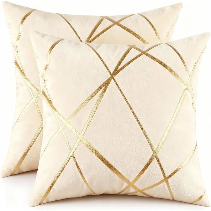 Housse Coussin 45x45 Motif Beige Velours Coussin Decoratif Canape Moderne Aeetic Taie 45 x 45 cm (Lot de 2) Beige HOUSSE DE COUSSIN